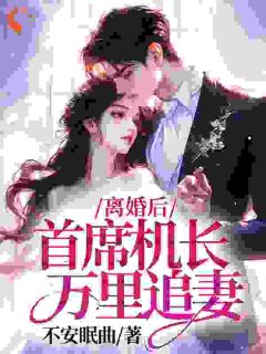 离婚后,首席机长万里追妻精彩章节免费试读_顾以宁盛嘉远小说_大结局