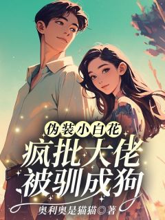 《苏淼淼万斯年》小说最新章节免费阅读(精彩章节未删节)